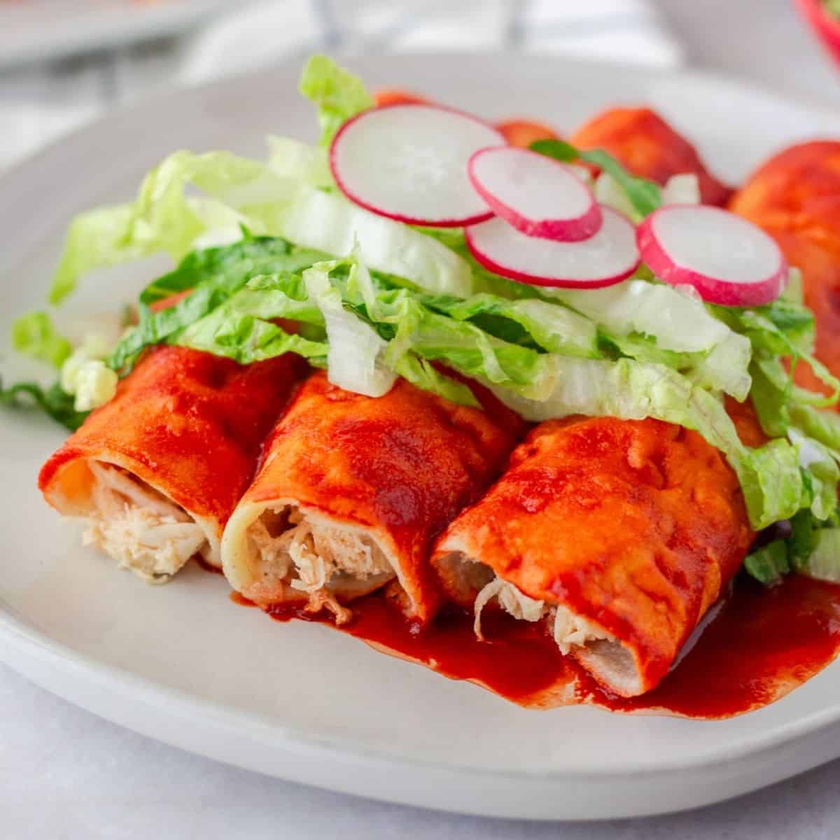 Enchiladas Rojas International Chicken Recipes